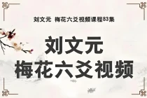 刘文元：梅花六爻高级实战特训面授班(全83集课)