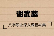 谢武藤：八字职业深入课程48集+讲义