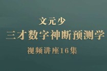 文元少｜三才数字神断预测学视频讲座(16节课)